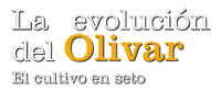 Logo la Revolucion del Olivar