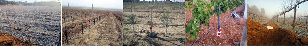 Soil Mosture Sensors